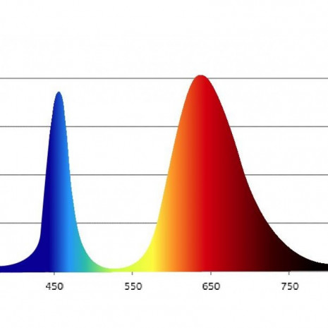 ЭРА Лампа красно-синего спектра FITO-10W-RB-E27-K (12/36/1728)
