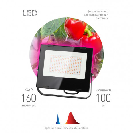 ЭРА Прожектор красно-синего спектра FITO-100W-RB-LED (10/160)