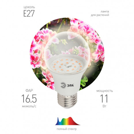 ЭРА Лампа полного спектра FITO-11W-Ra90-E27 (36/2592)